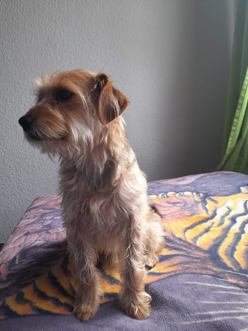 Teo