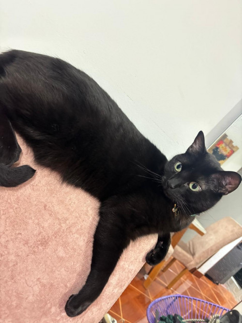 Samael