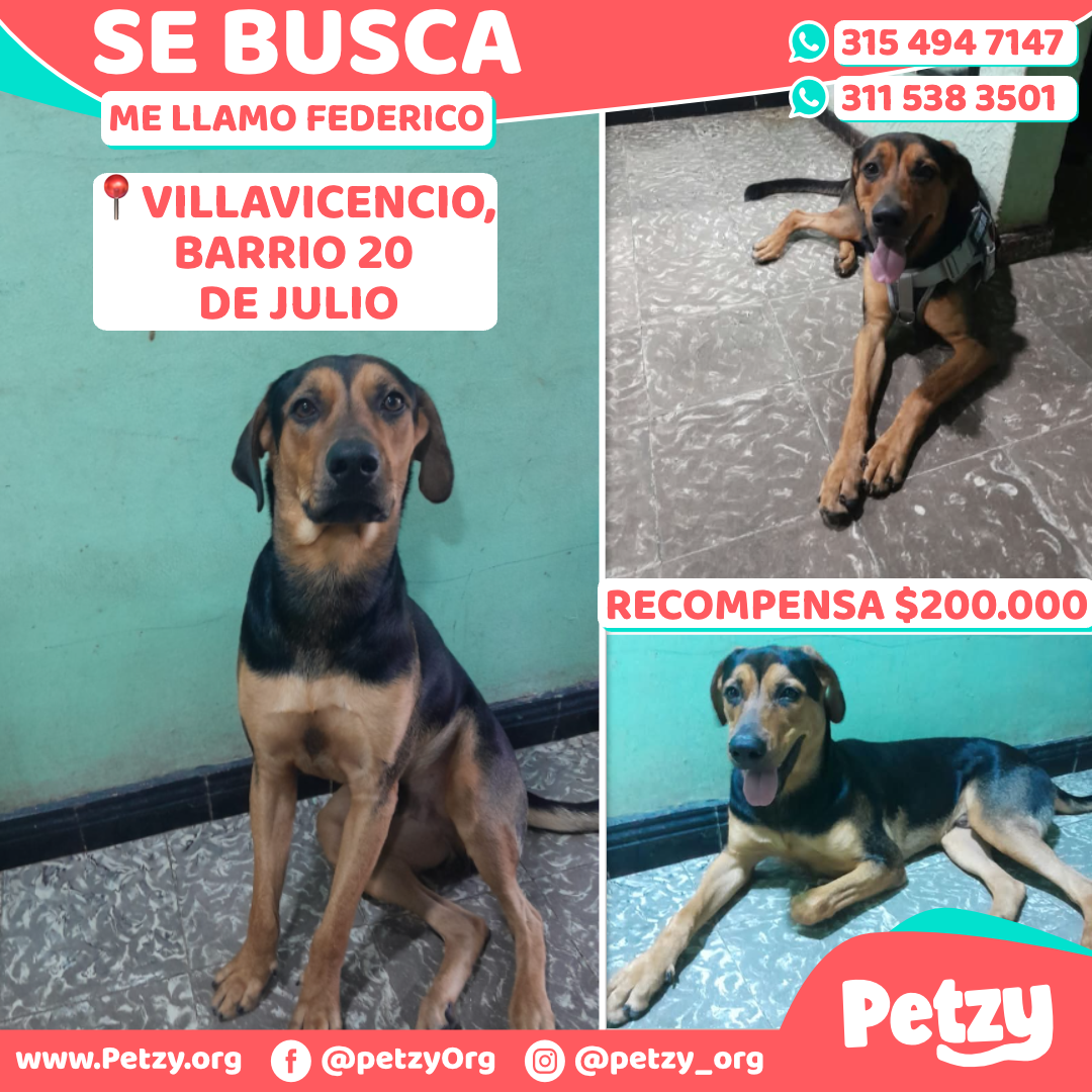 Federico