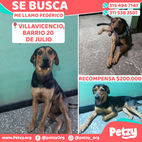 Federico