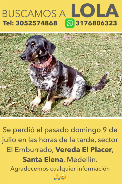 Lola