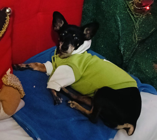 Juanita