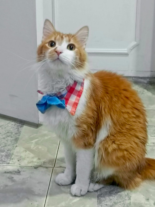 Gary