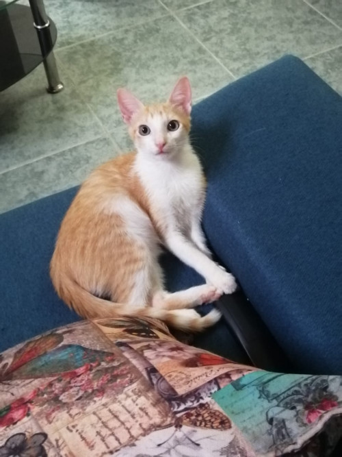 Jerry