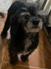Foto de Candy en Soacha Cundinamarca #2