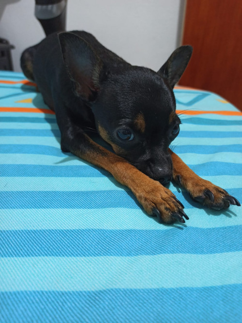 Kira