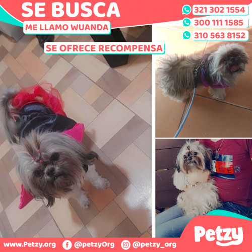 Foto de mascota Wuanda