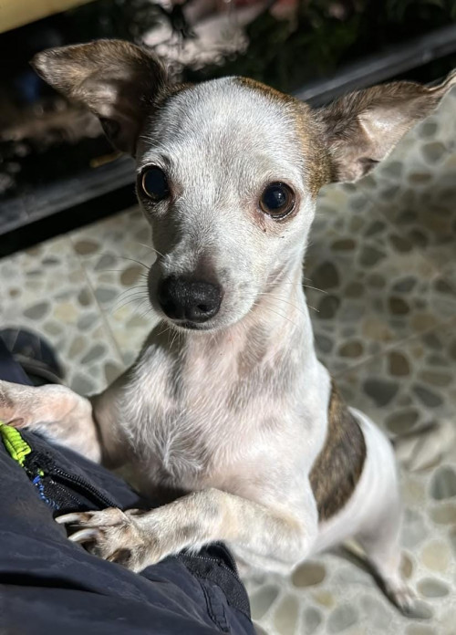 Lupita