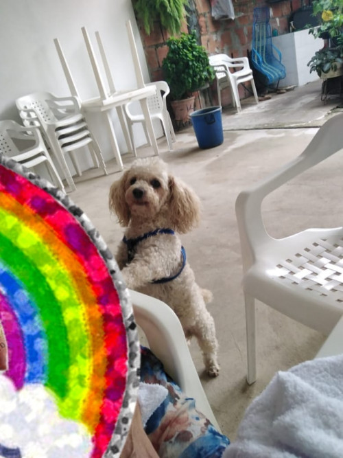 Zeus