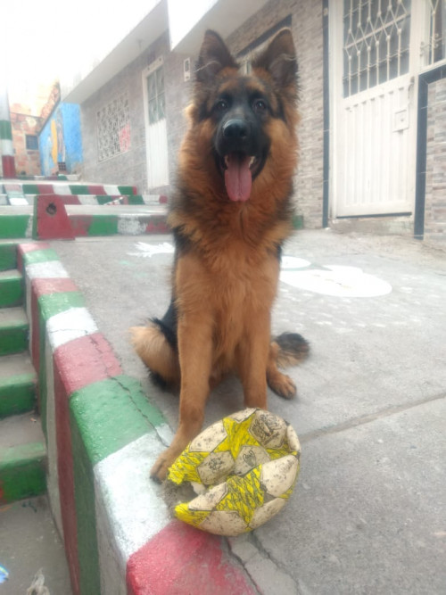 Thor