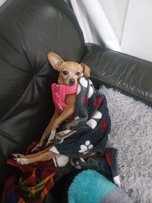 Fiona