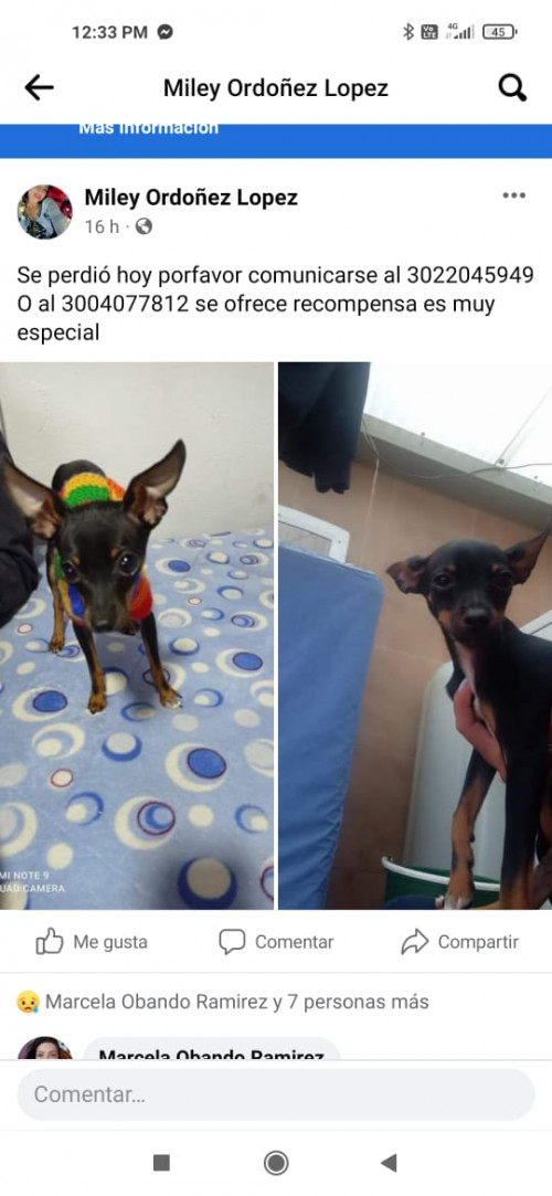 Timoteo