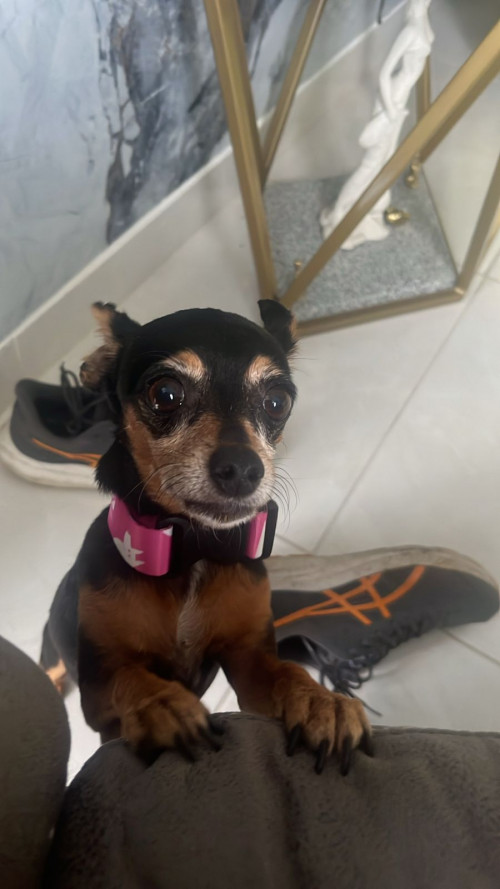 Juanita