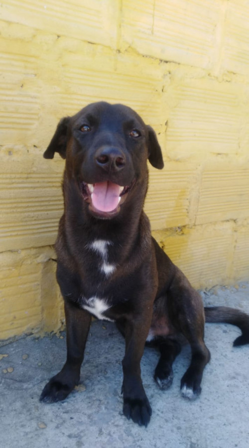Matias