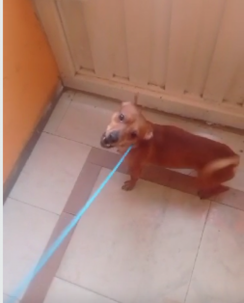 Max