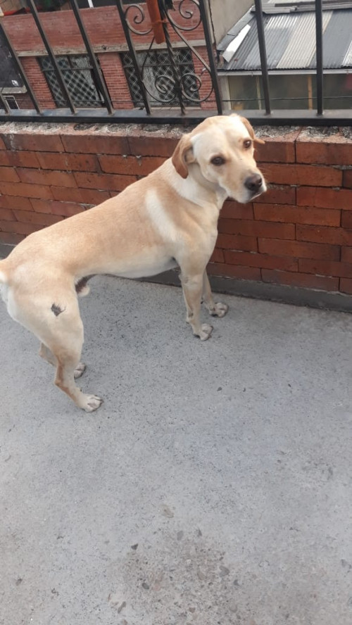 Matías