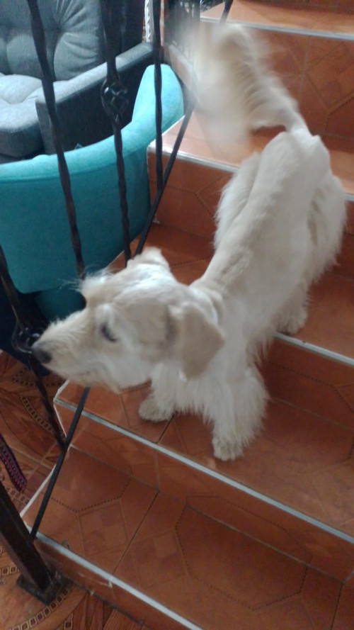 Luky