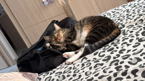 Zoe