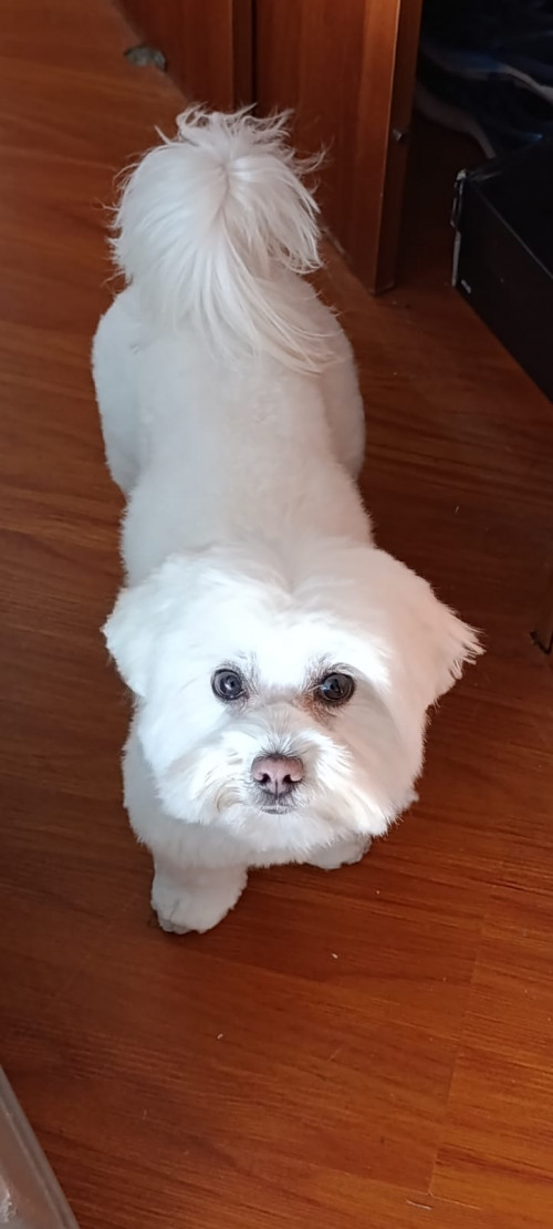 Max