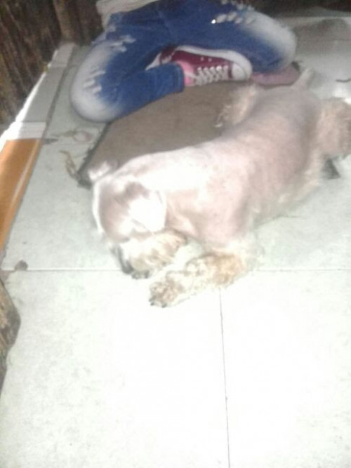 Tobi