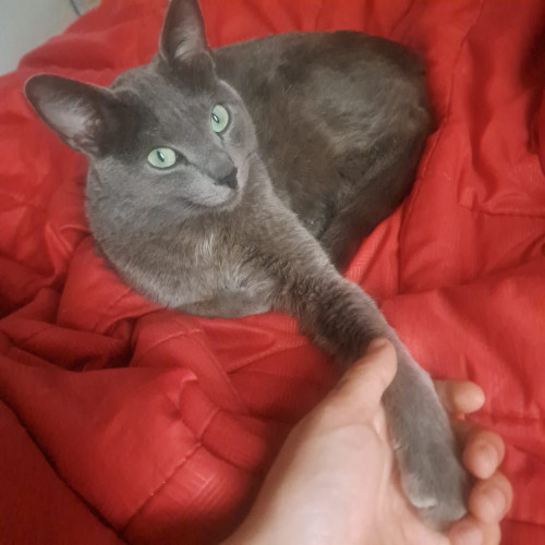 Ragnar