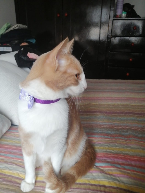 Almi