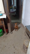 Foto de Tomas en  Bogotá #0