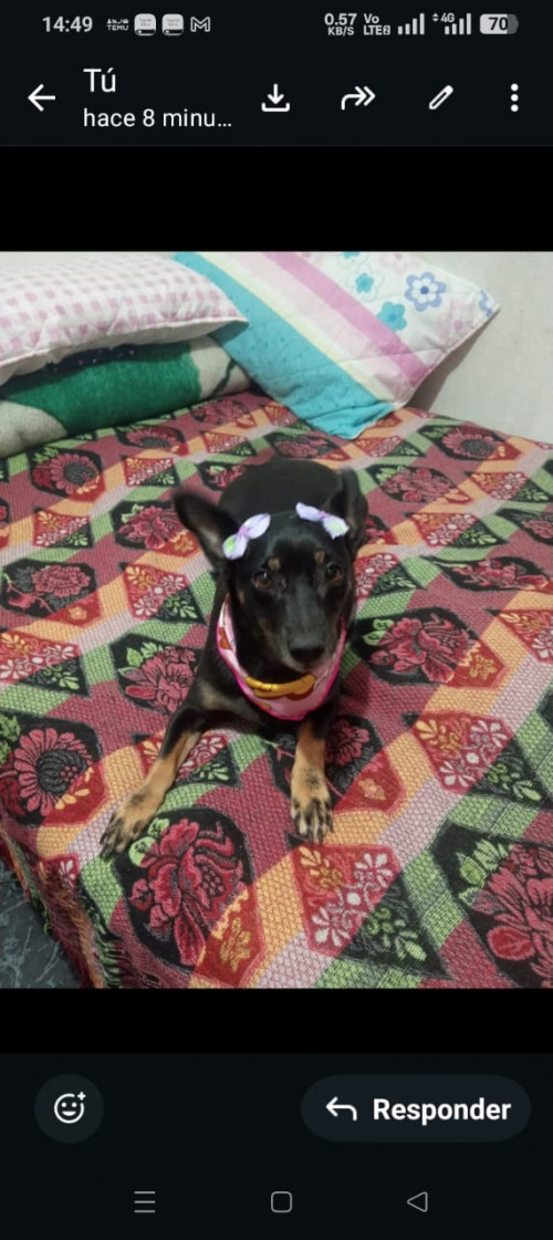 Marquesa