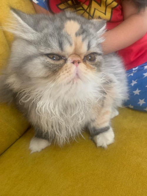 Matilda