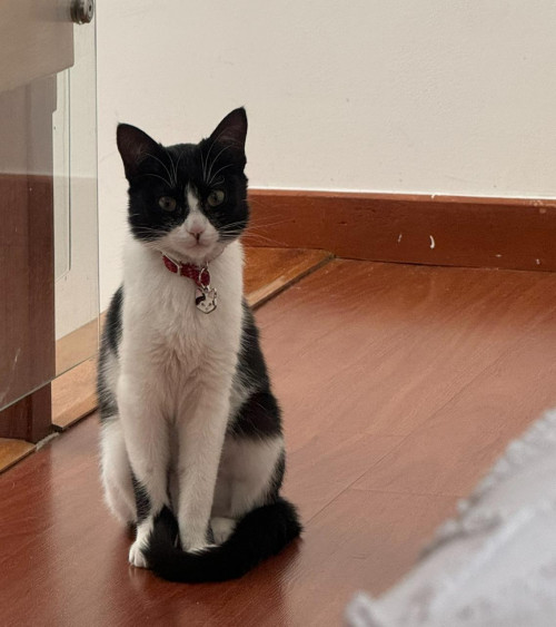 Vicky (victoria)