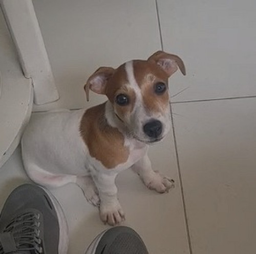 Chester