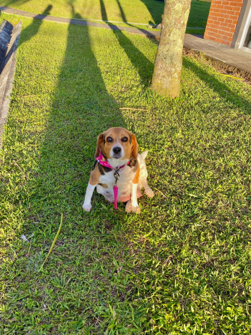Maggie