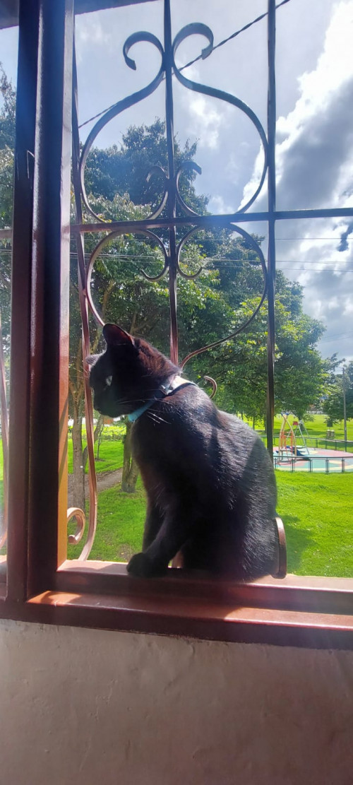 Atena