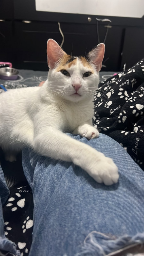 Nina