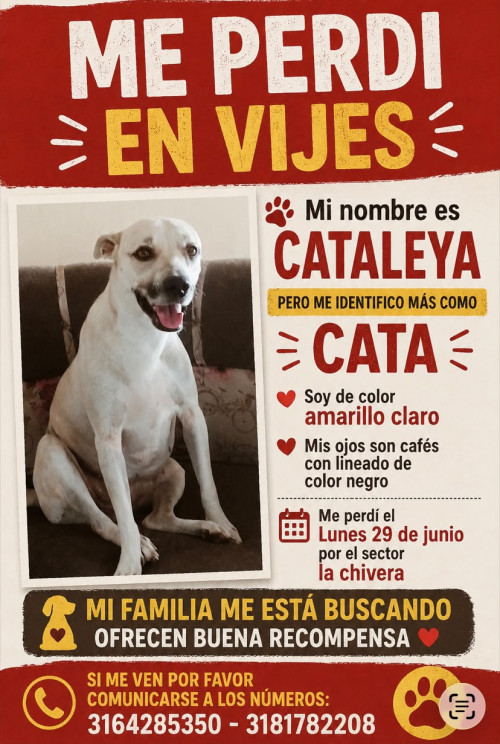 Cataleya (cata)