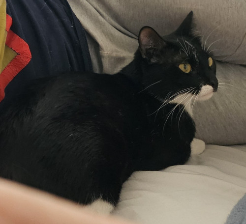 Luna