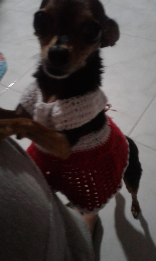 Princesa