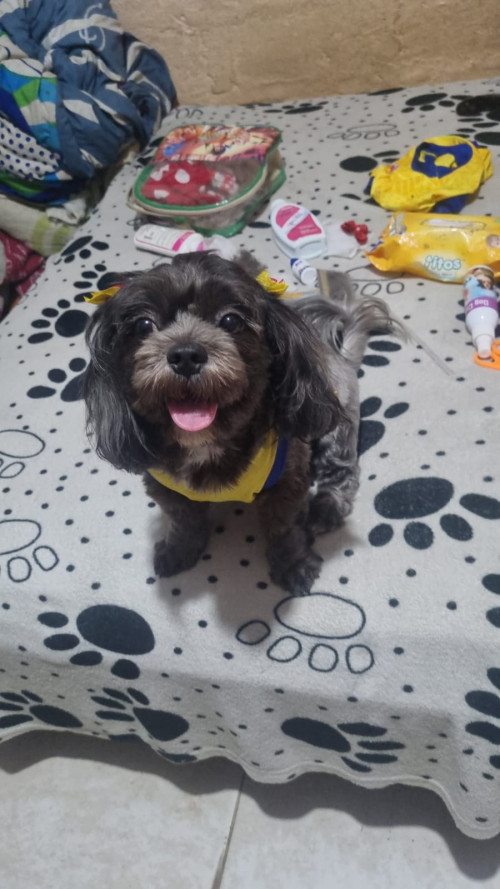 Muñeca