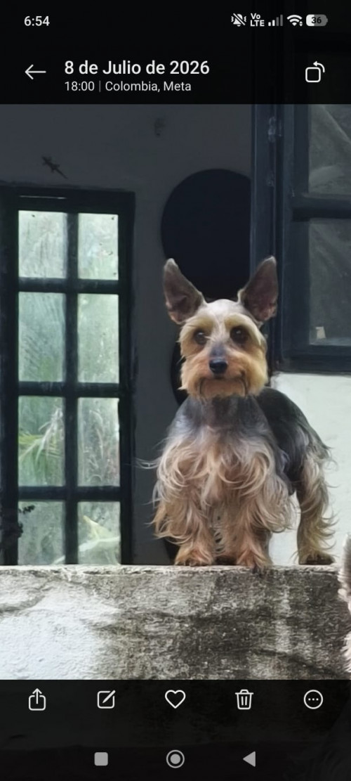 Max