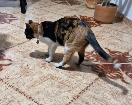 Luna