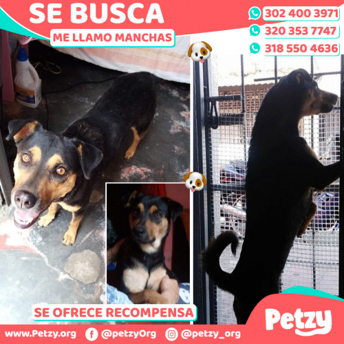 Banner de Manchas