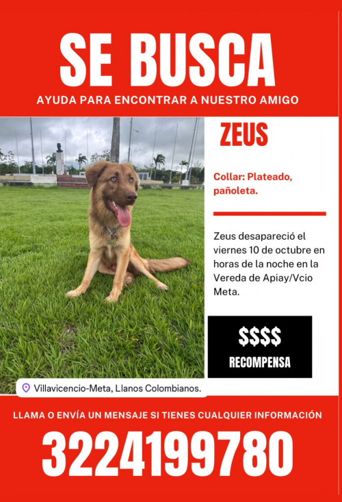 Zeus