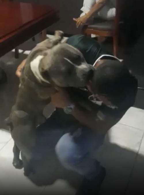 Enzo
