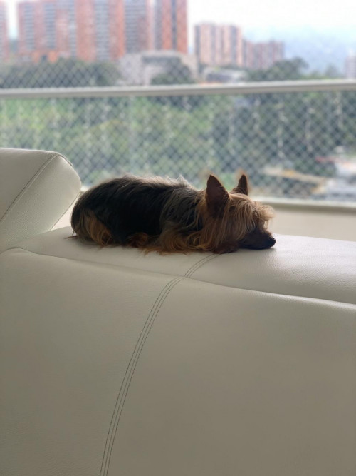 Lupita
