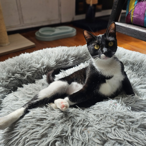 Luna