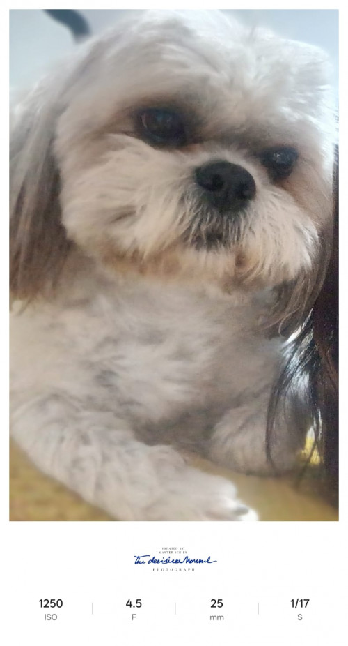 Toby