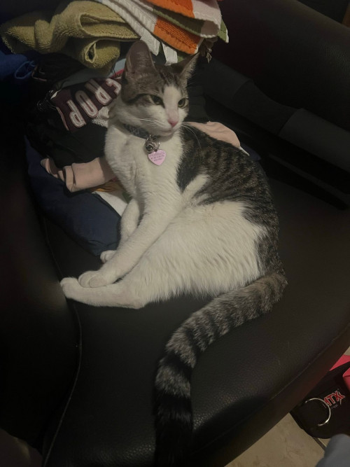 Nala