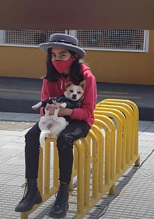 Apolo
