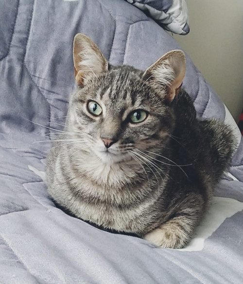 Nina
