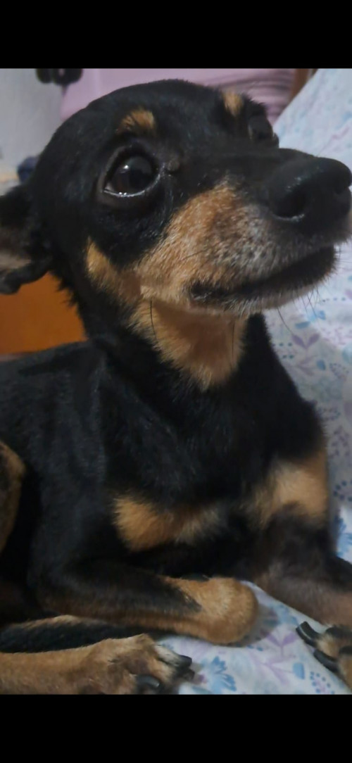 Max